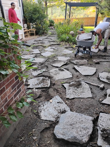 Next Level Concrete Services , Metro Denver. Before/after